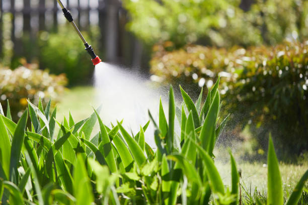 24/7 Emergency Mosquito Control experts in Castle Shannon, PA