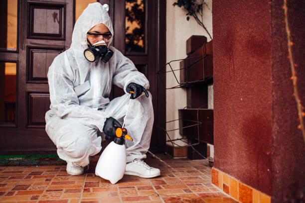 Reliable Mosquito Control contractor in Castle Shannon, PA by Show Me Pest Control