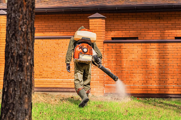 Top rated local Mosquito Control specialists in Castle Shannon, PA